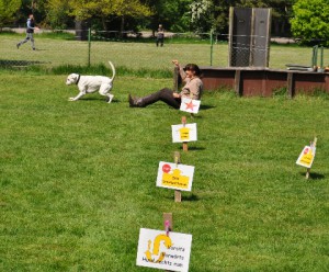 DSC_0742 Mittlere Webansicht