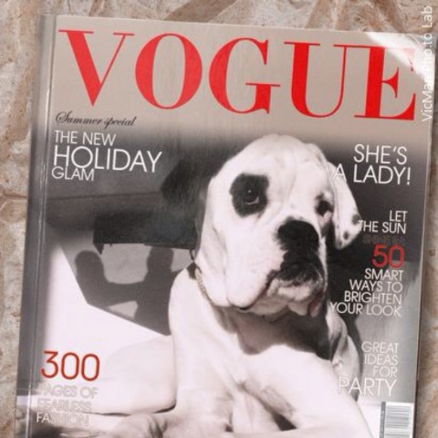 canvas Mittlere Webansicht