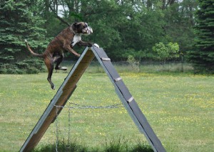 DSC_0699 Mittlere Webansicht